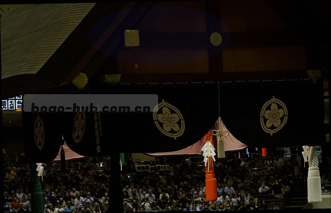海南海岸线与夜间海港灯火，深蓝夜色中透出暖橙色灯光